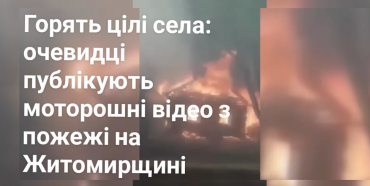 Пожежі не вщухають, вогонь нищить цілі села: в мережі з’явились моторошні кадри з Житомирщини (ВІДЕО)